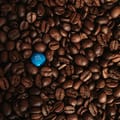 Blue Mountain Coffee Beans 4