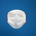 Disposable Surgical Masks 1