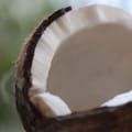 Jamaican Coconut Hydrating Cream 4