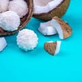 Organic Coconut Protein Powder 1
