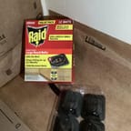 Raid Large Roach Baits, Kills Roaches for 3 Months, 4pk 4
