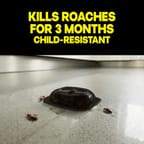 Raid Large Roach Baits, Kills Roaches for 3 Months, 4pk 2