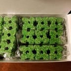 Tomcat Rat and Mouse Bait Station + 15 Bait Blocks (Child & Dog Resistant) 11