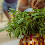 Authentic Jamaican Jerk Seasoning 4