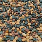 Blue Mountain Coffee Beans 1