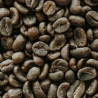 Blue Mountain Coffee Beans 3