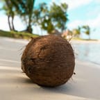 Caribbean Breeze Body Lotion 4