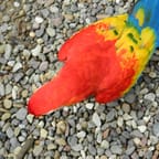 Children's Colorful Flip Flops 1