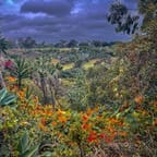 Exploring Jamaican Landscapes Photography Tour 3