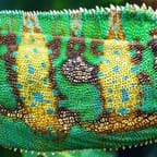 Handcrafted Jamaican Beaded Bracelet 4