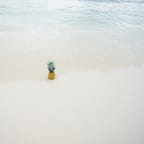 Island Breeze Perfume 3