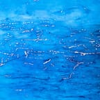 Jamaican Art Print: Blue Mountain Coffee 1