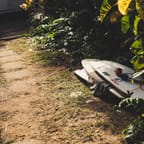 Jamaican Bobsled Adventure 3