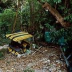 Jamaican Bobsled Adventure 4