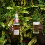 Jamaican Craft Beer Tasting Tour 1