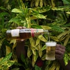 Jamaican Craft Beer Tasting Tour 3