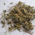 Jamaican Herbal Immune Booster 1