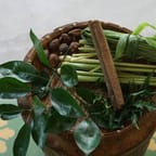 Jamaican Herbal Immune Booster 1