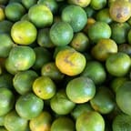 Jamaican Jerk Seasoning 4