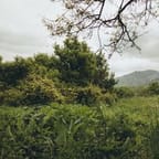 Jamaican Landscape Photography Tour 4