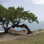 Jamaican Yoga Retreat 4