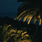 Luminous Night Photography Tour 4
