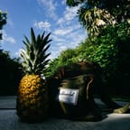 Mango Pineapple Tropical Juice 4