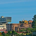 Montego Bay City Tour 3