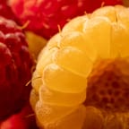 Multivitamin Gummies 4