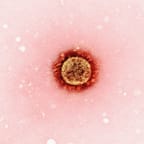 Natural Immune Booster 3