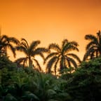 Negril Beach Sunset T-Shirt 4