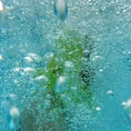 Organic Aloe Vera Gel 1