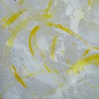 Organic Aloe Vera Gel 4