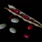 PureHealth Multivitamin Tablets 4