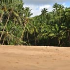 Tropical Beach Sarong 4
