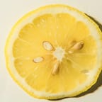 Tropical Citrus Body Scrub 3
