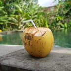 Tropical Mango Coconut Juice 4