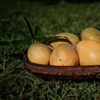 Tropical Mango Smoothie 3