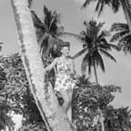 Tropical Print Swimsuit 1