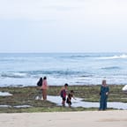Wellness Retreat at Negril Beach 4