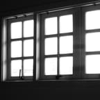 Window Shine Pro 3