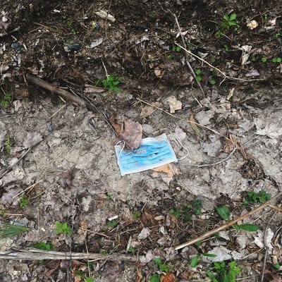 3-Ply Disposable Face Mask