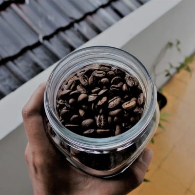 Blue Mountain Coffee Beans