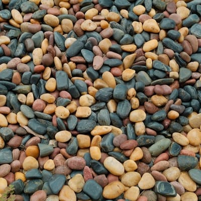 Blue Mountain Coffee Beans