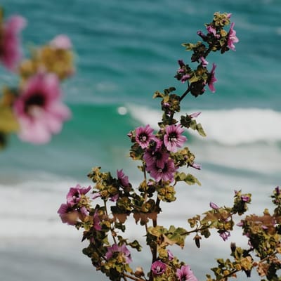 Caribbean Breeze Maxi Dress