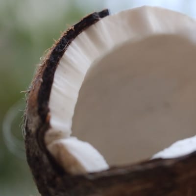 Caribbean Coconut Body Butter