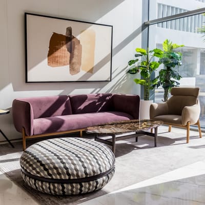 Deep Clean Carpet Shampoo