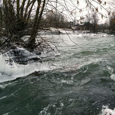 Dunn's River Falls Adventure