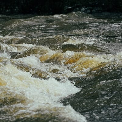 Dunn's River Falls Day Tour