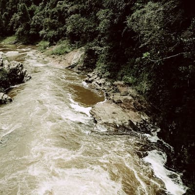 Dunn's River Falls Tour